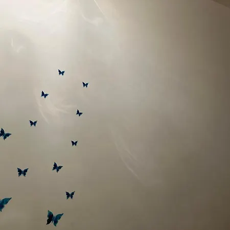 Mariposa * Borgo San Dalmazzo